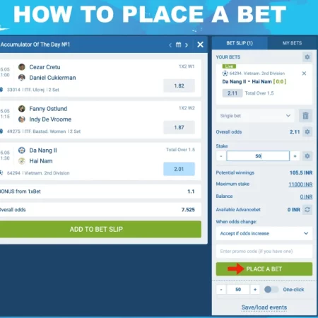 How Do I Bet on the 1xBet Website?