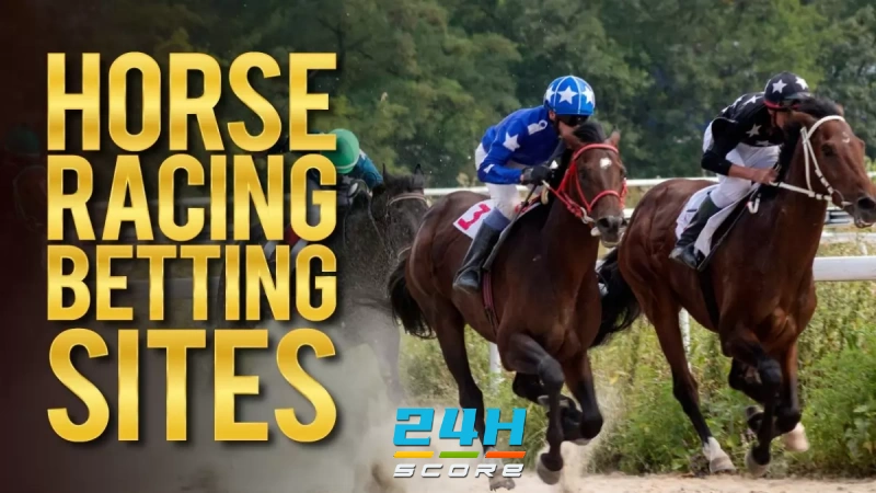 Types of Bets on New Horse Racing Betting Sites