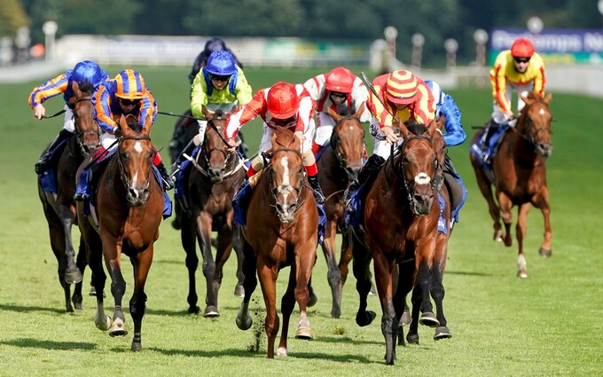 Tips for Marlborough racing and the best wagers for today’s events